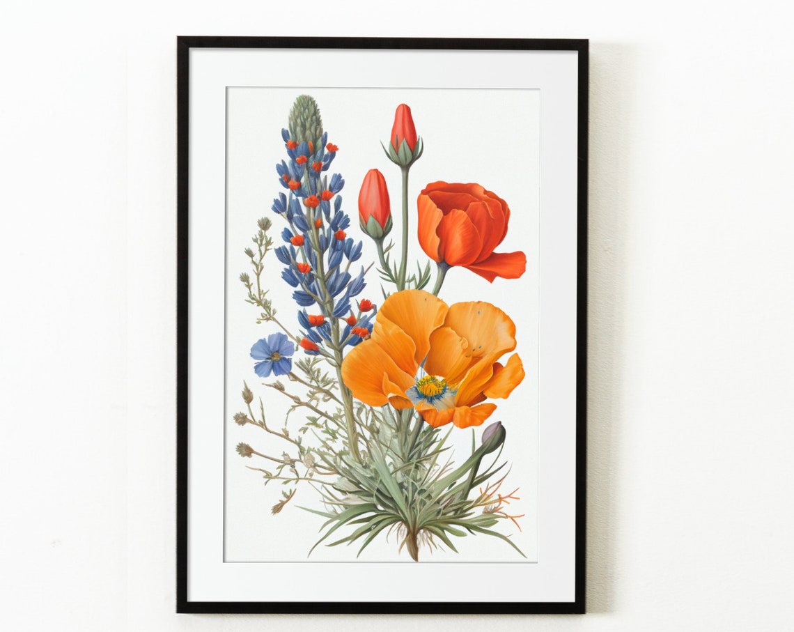 California Poppy and Lupine Wildflowers Botanical Art Poster