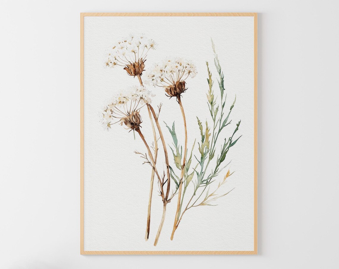 White Queen Annes Lace Botanical Watercolor Neutral Floral Art Print