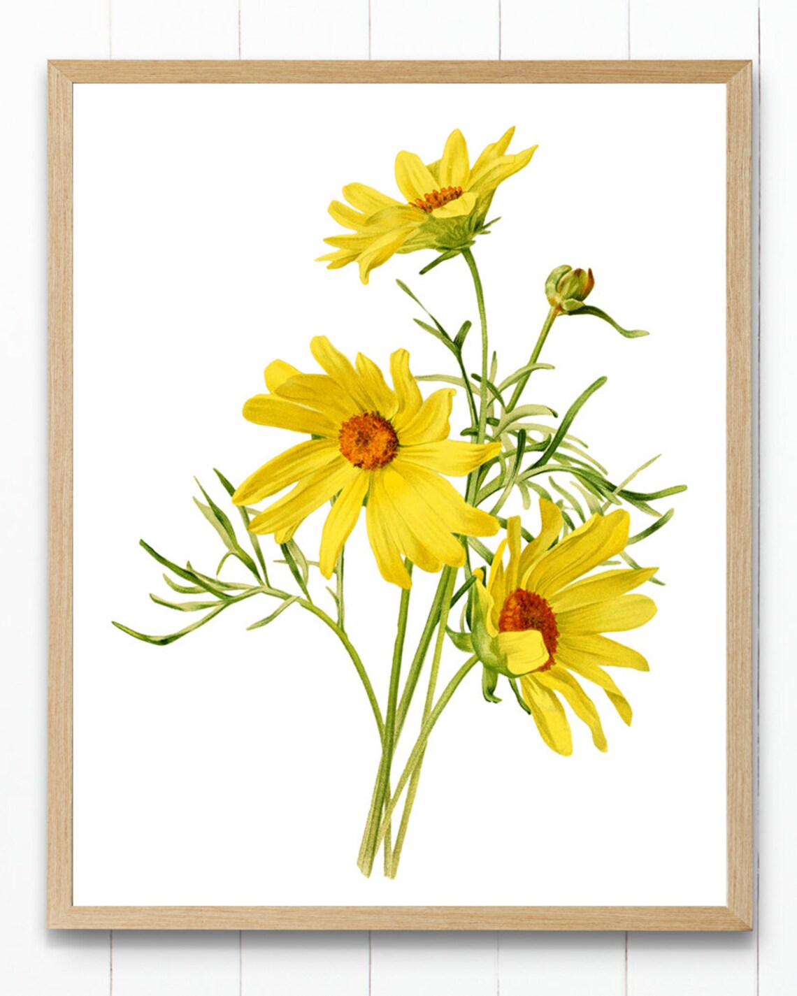 Yellow Sea Dahlia Flowers Antique Botanical Illustration Poster - Image 2