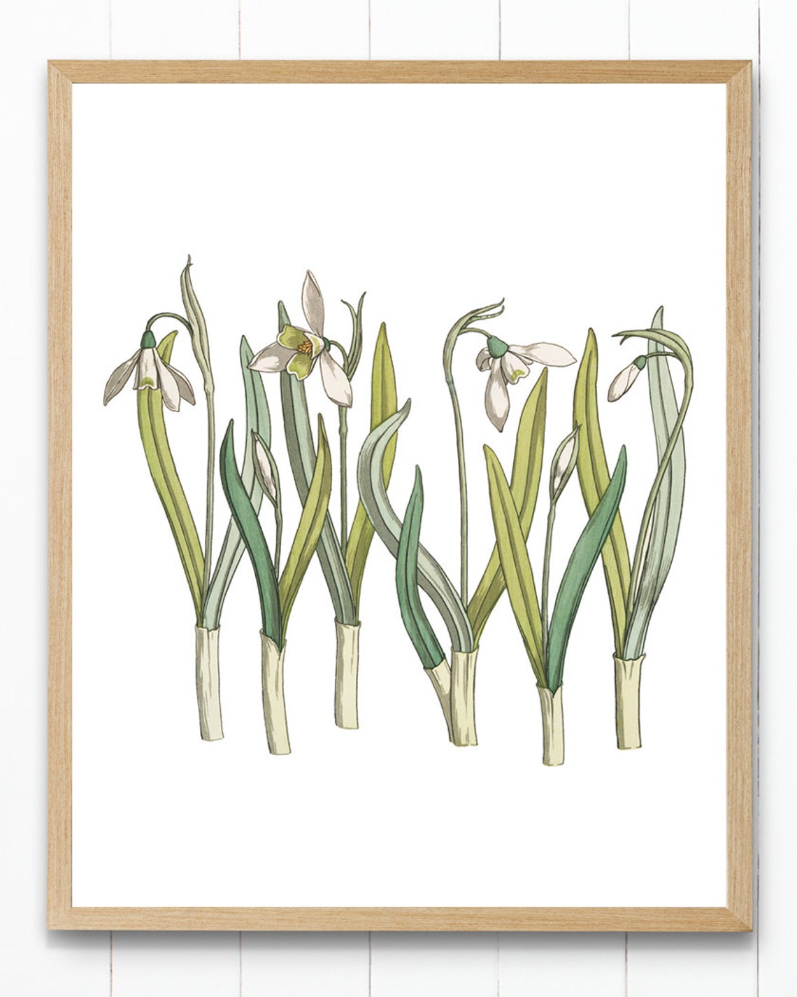 White Snowdrop Flowers in French Art Nouveau Botanical Study Poster - Image 4