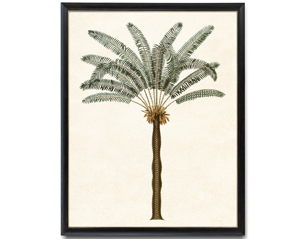 Palm Tree Vintage Illustration, Tropical Art Print - Image 2