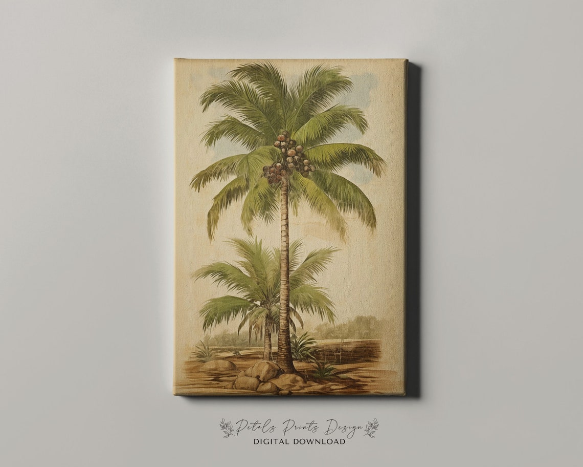 Vintage Coconut Palm Tree Botanical Illustration Tropical Plant Poster - Image 4