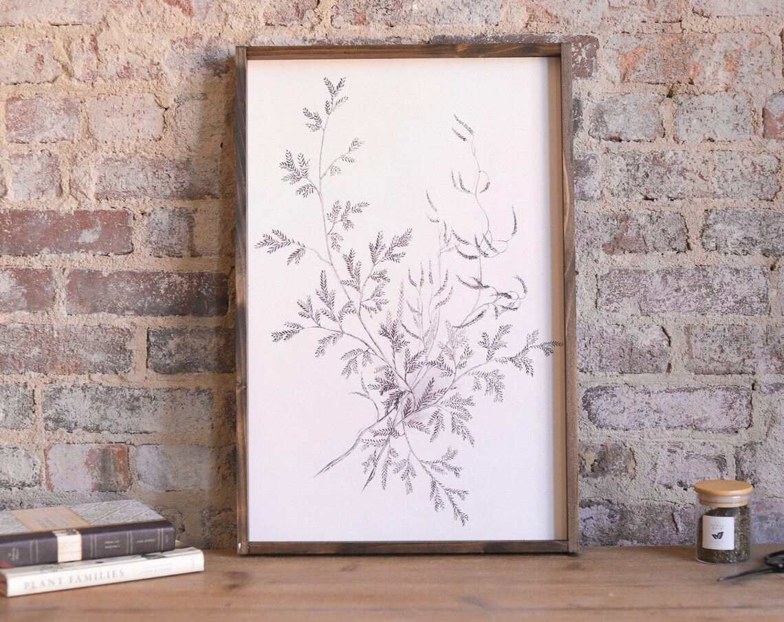 Vintage Botanical Fern Sketch Black and White Botanical Sign Poster