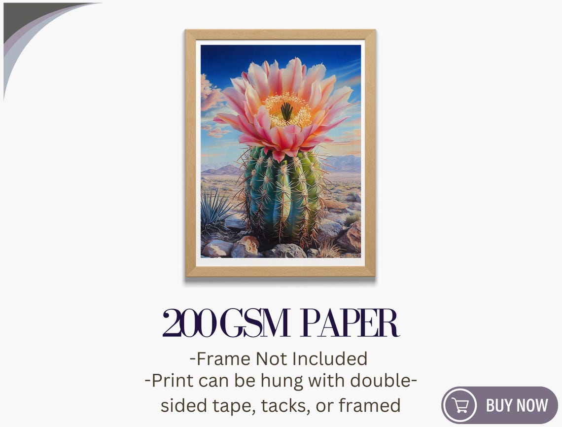 Pink Cactus Bloom Desert Sunrise Barrel Cactus Botanical Poster - Image 5