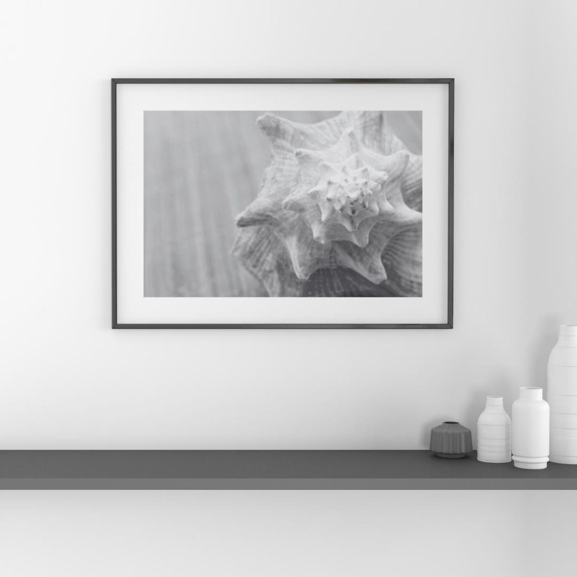 Black And White Conch Shell Close Up Coastal Minimalist Zen Poster