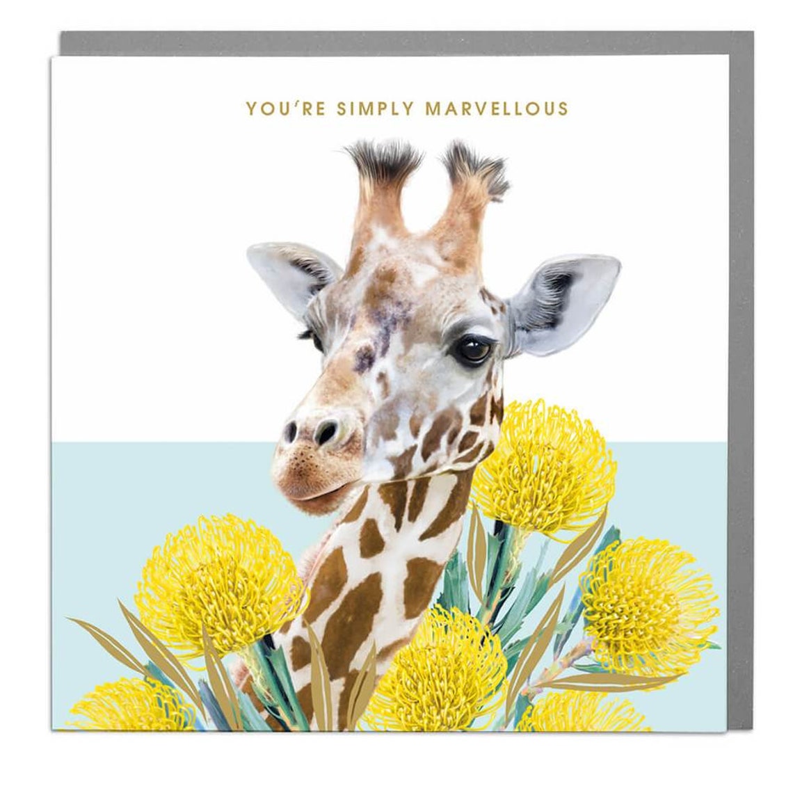 Giraffe Happy Birthday Card