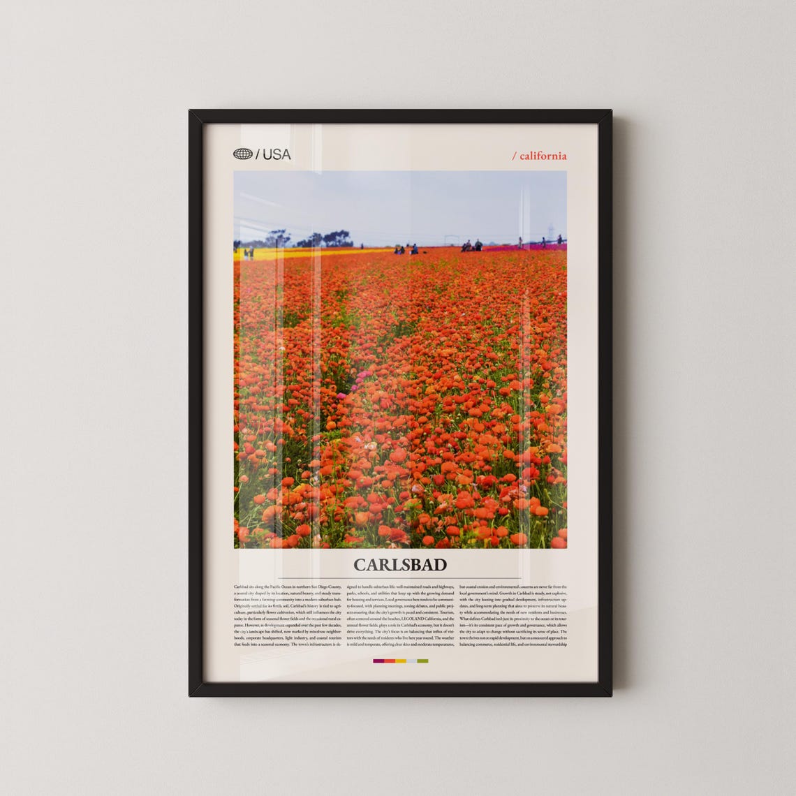 Carlsbad California Blooming Flower Fields Editorial Travel Poster