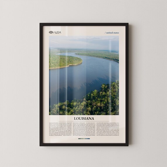 Louisiana Mississippi River Aerial Nature Photography Poster