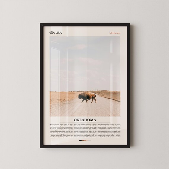 Oklahoma Great Plains Lone Bison Prairie Road Travel Photo Poster