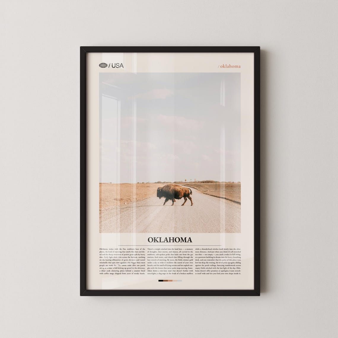 Oklahoma Great Plains Lone Bison Prairie Road Travel Photo Poster