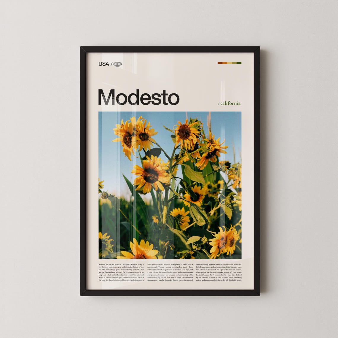 Modesto Print Wall Art Poster Photo Mchenry Mansion Graceada Park Arch Dry Creek Trail