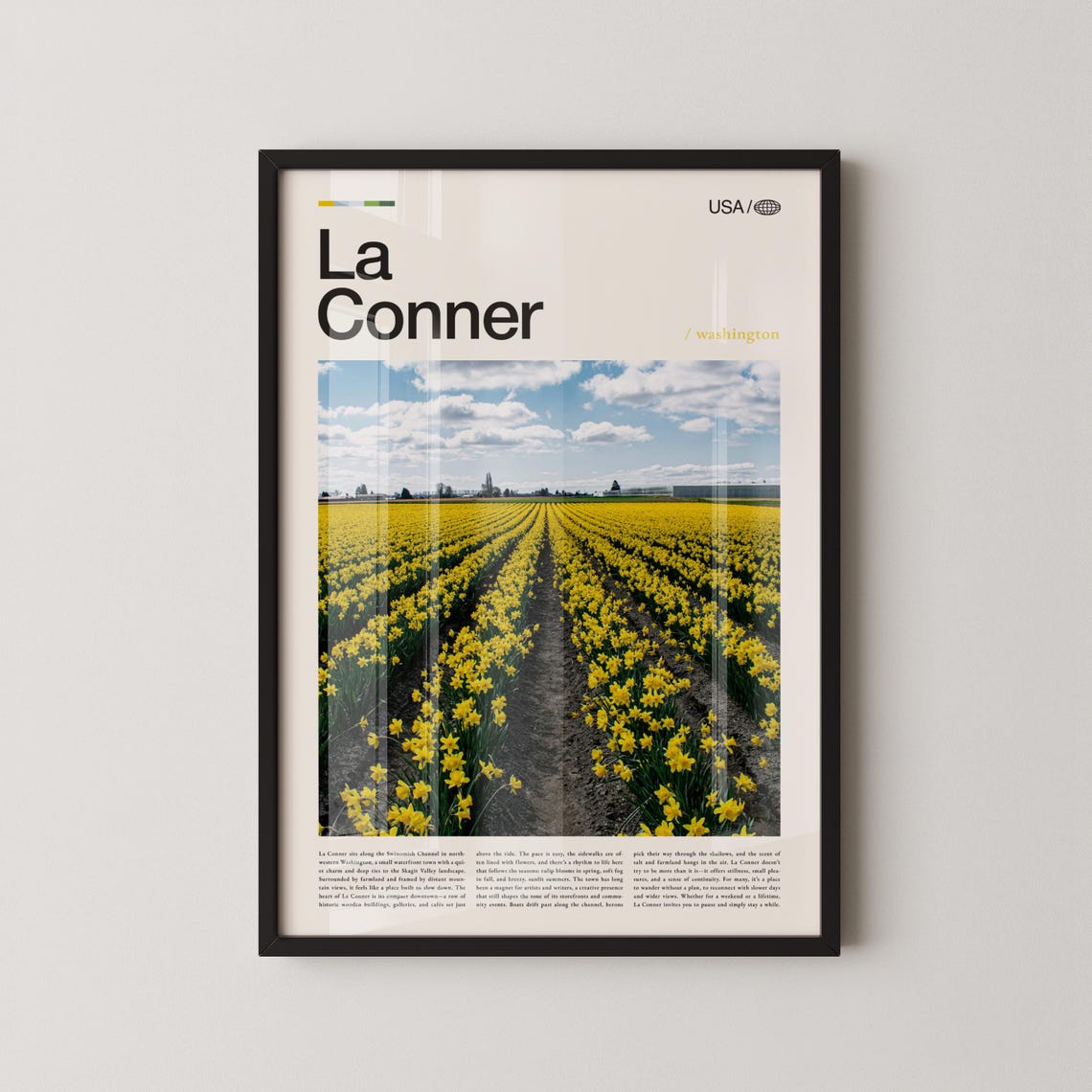 La Conner Washington Daffodil Farm Spring Bloom Photo Poster