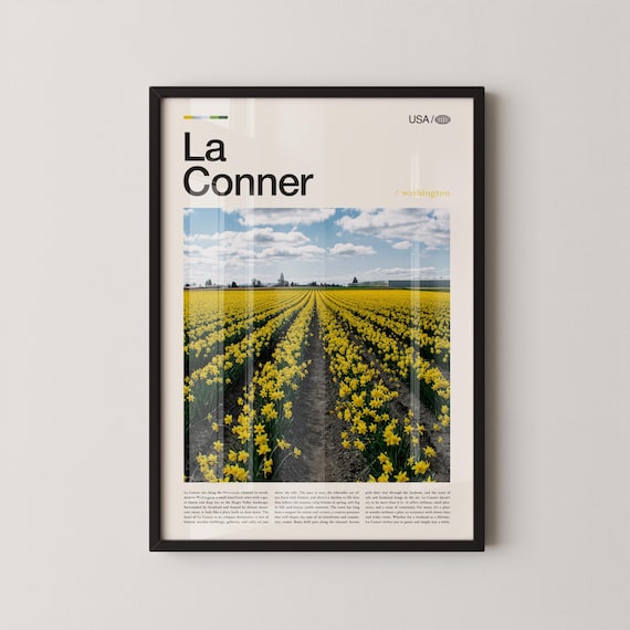 La Conner Washington Daffodil Farm Spring Bloom Photo Poster