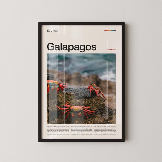 Galapagos Print Galpagos Wall Art Poster Ecuador Island Photography Wildlife Nature Decor