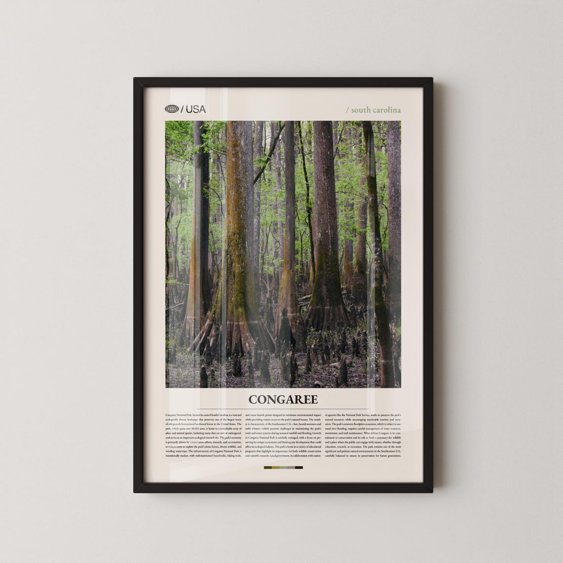 Congaree South Carolina Old Growth Bottomland Forest Travel Poster