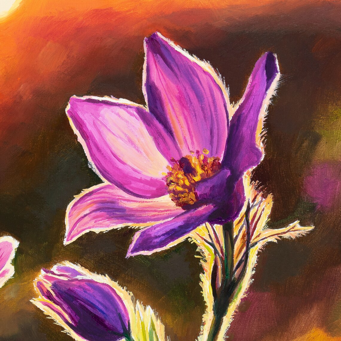 Pink Pasque Flower Backlit Sunset Meadow Floral Oil Painting Poster - Image 4