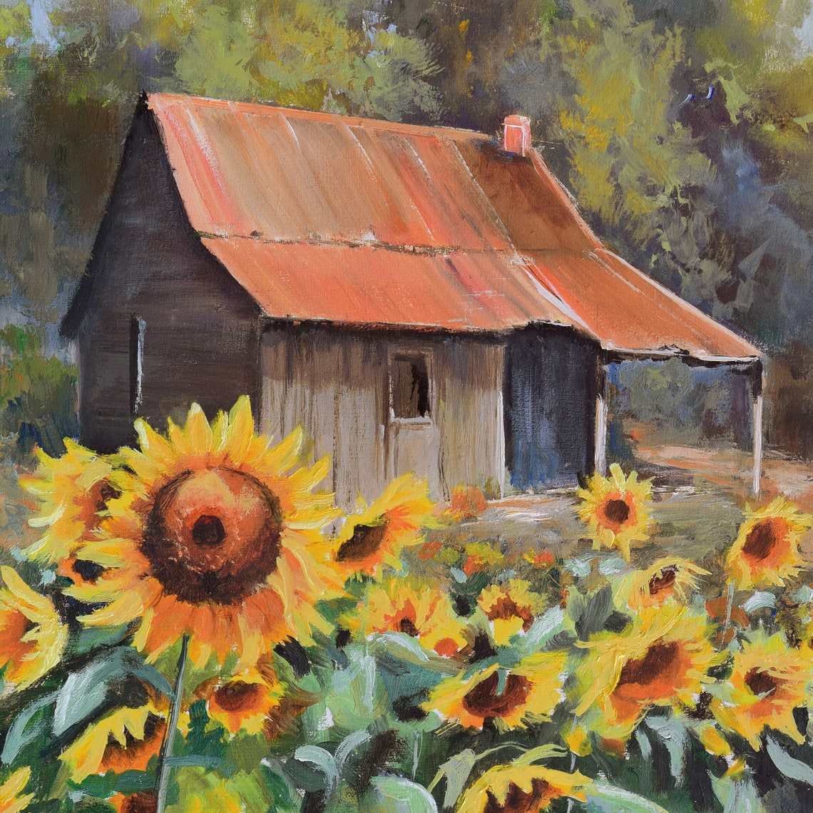 Sunflower Field in Front of a Rustic Cabin with a Red Tin Roof Poster - Image 5