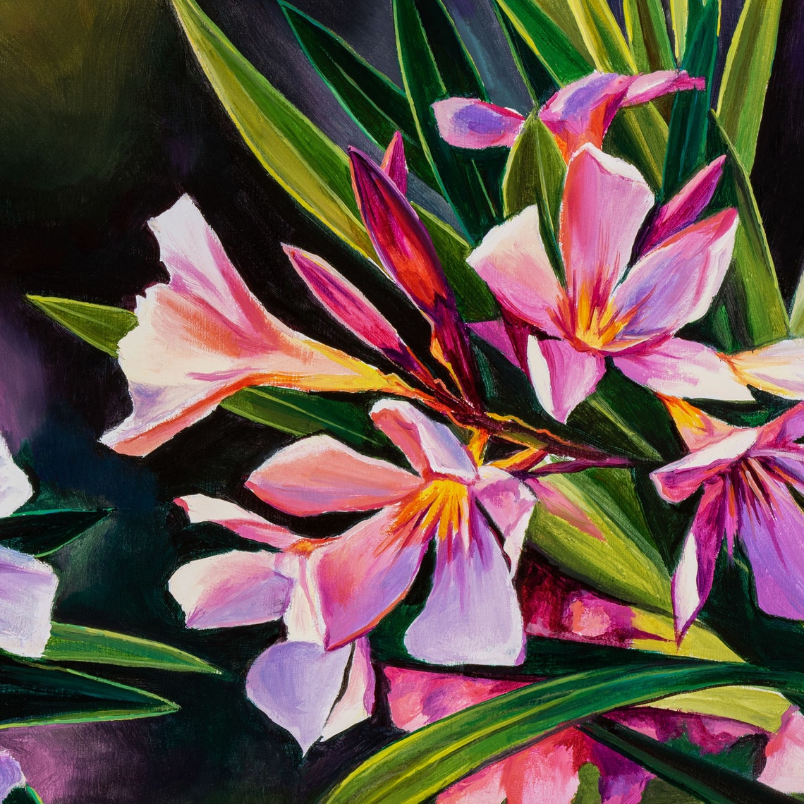 Pink Oleander Blossoms Glowing in Bright Sunlight Floral Art Poster - Image 2