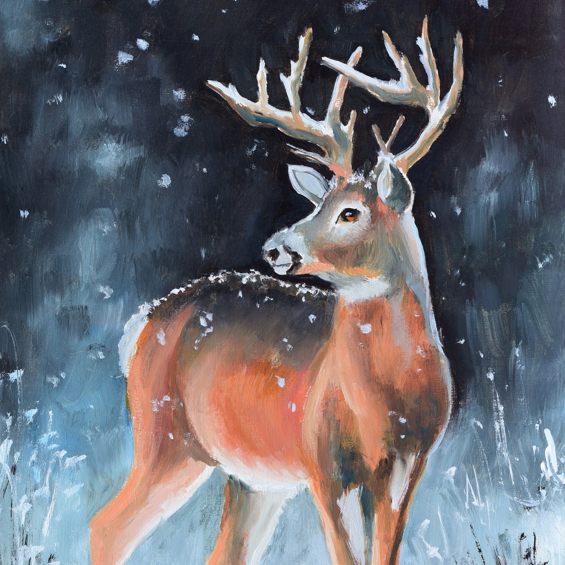 Whitetail Buck Looking Back Through Snowy Night Woods Poster - Image 5