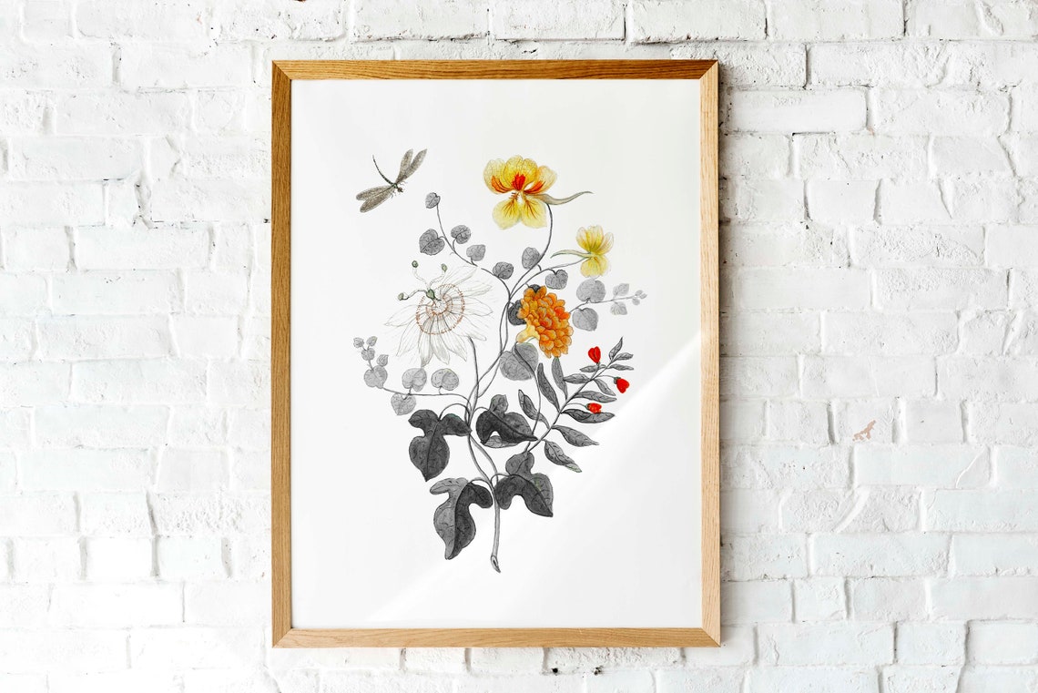 Vintage Botanical Flowers With Dragonfly Illustration Wall Poster