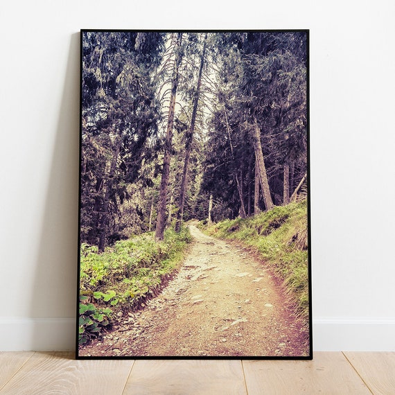Dreamy Forest Path Print Moody Forest Art Wood Photo Forest Landscape Instant