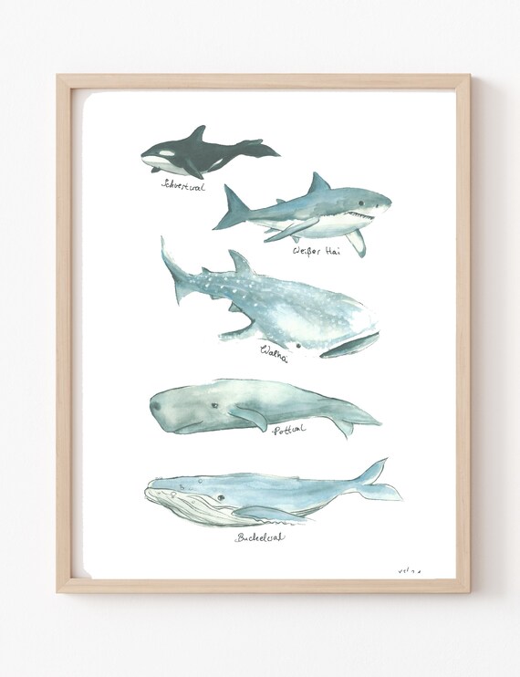 Whales Picture Poster A4 21 X 30 Cm With Watercolor Print Decoration Gift Colorful Animals Sea Sperm Whale Shark Whale Ocean Childrens Room Maritime Animal Picture Orca