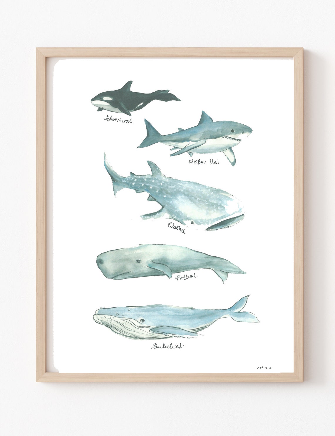 Whales Picture Poster A4 21 X 30 Cm With Watercolor Print Decoration Gift Colorful Animals Sea Sperm Whale Shark Whale Ocean Childrens Room Maritime Animal Picture Orca