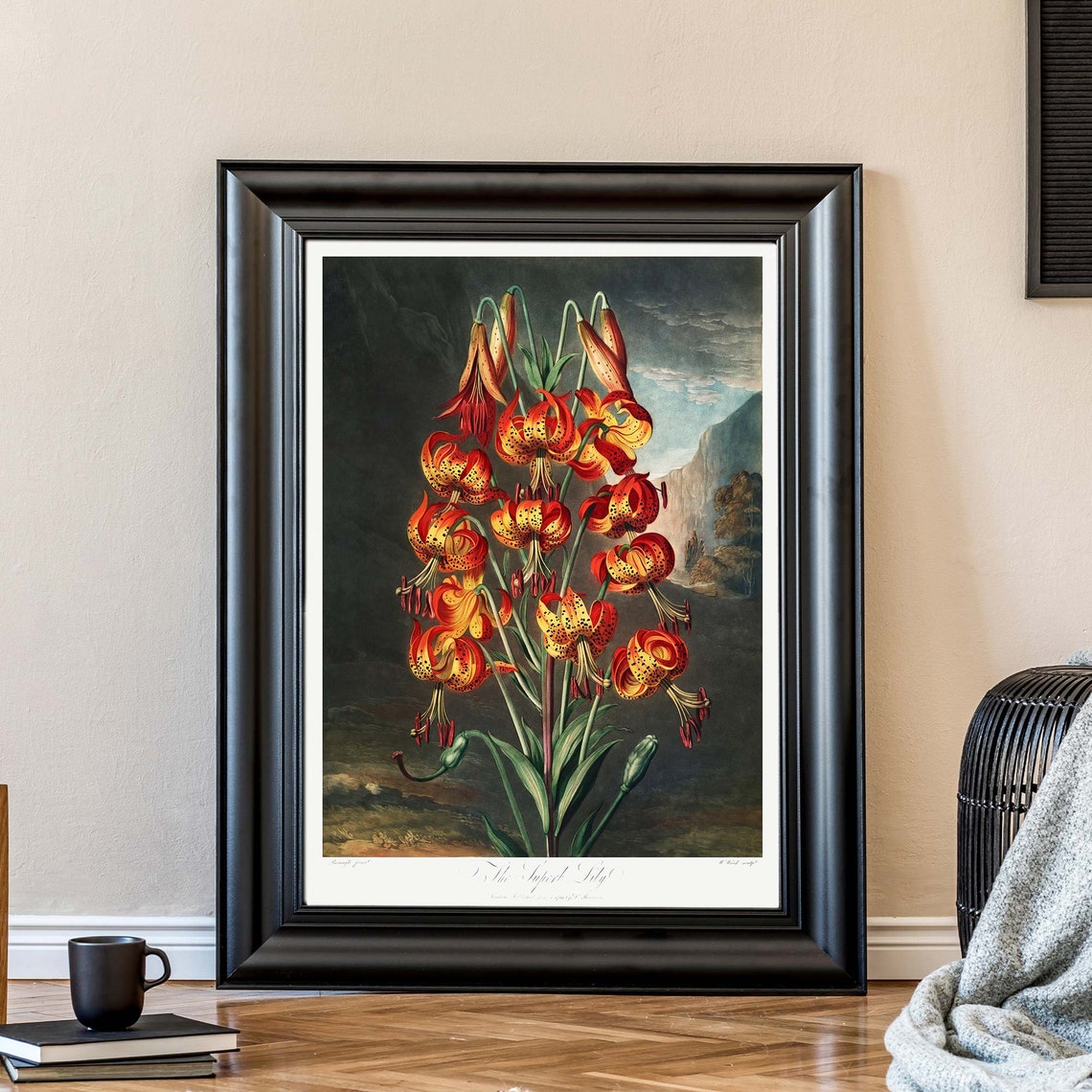 The Superb Lily Thornton Botanical Vintage Flower Art Poster - Image 2