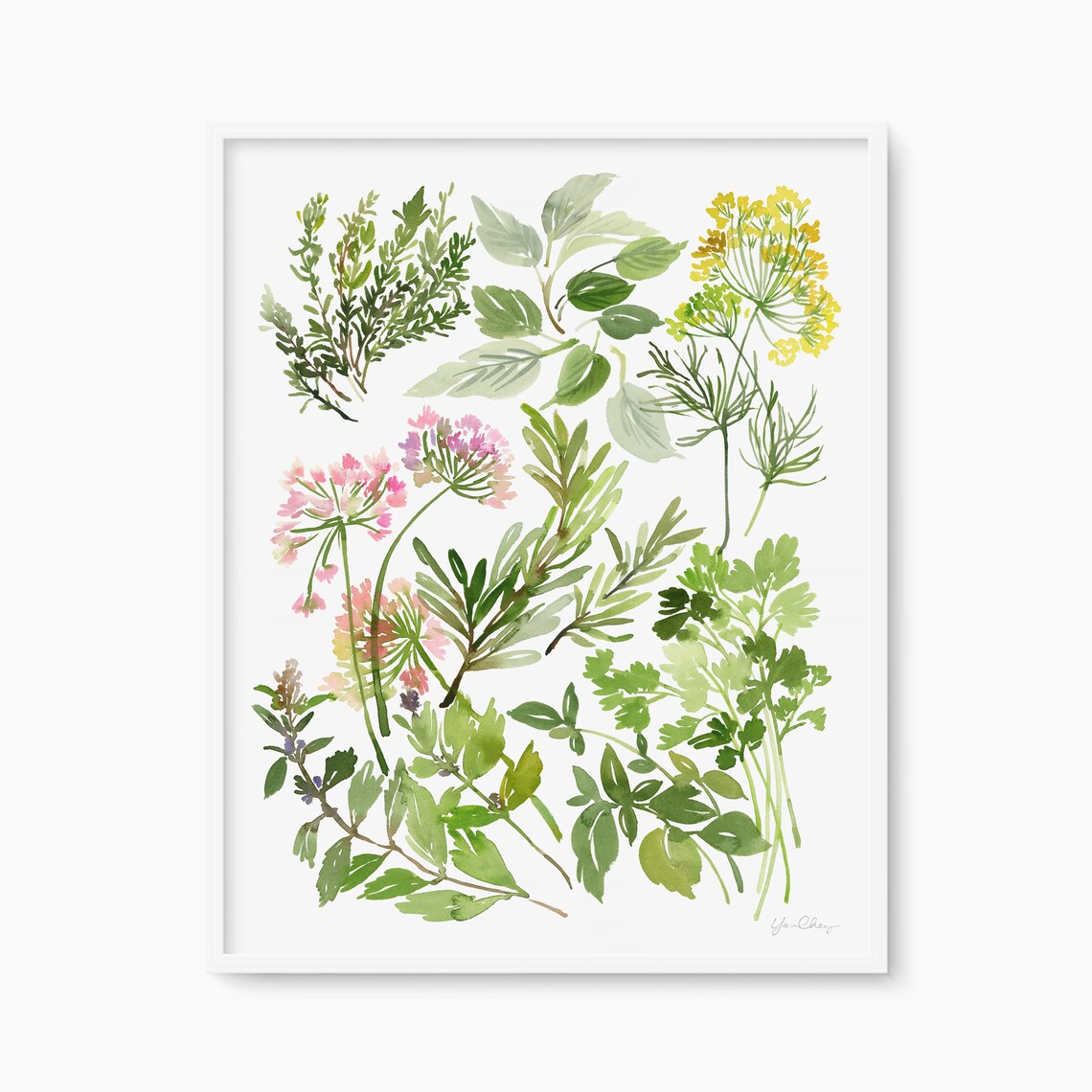 Watercolor Kitchen Herbs Garden Cilantro Rosemary Sage Art Poster