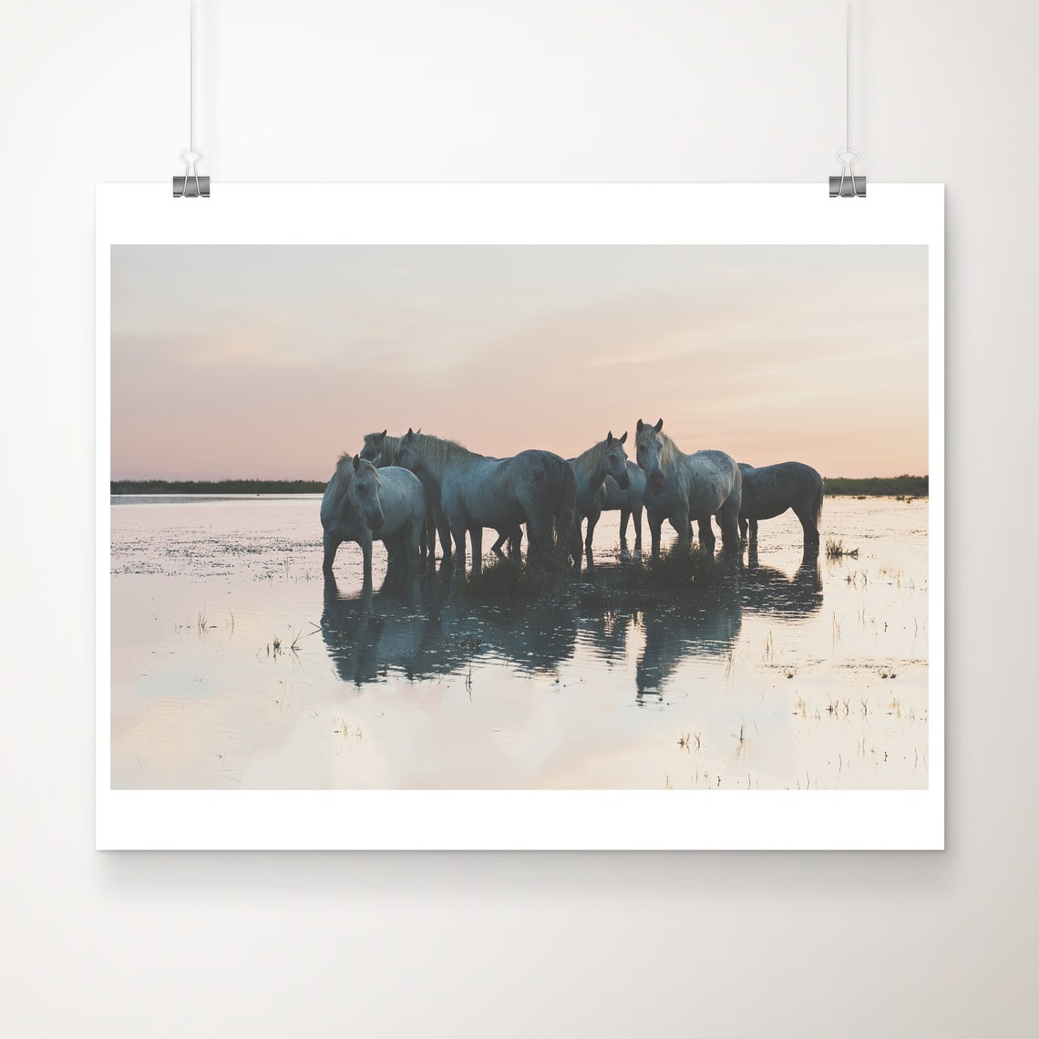 Camargue White Horses at Sunset Wetland Reflection Photography Poster