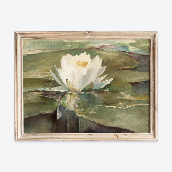 European Vintage Water Lily In Sunlight Still Life Wall Art Print Rustic Nature Oil Painting Antique Moody Floral Farmhouse Poster Vp362