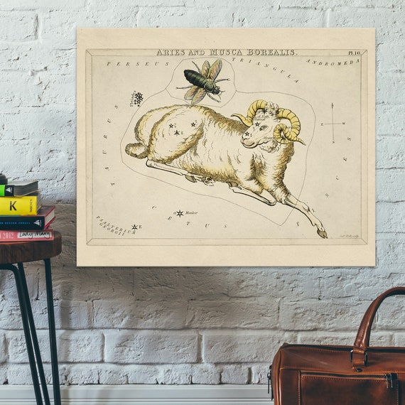 Vintage Zodiac Aries Aries Illustration Print Sidney Hall 19th Century Art Drawing Wall Art