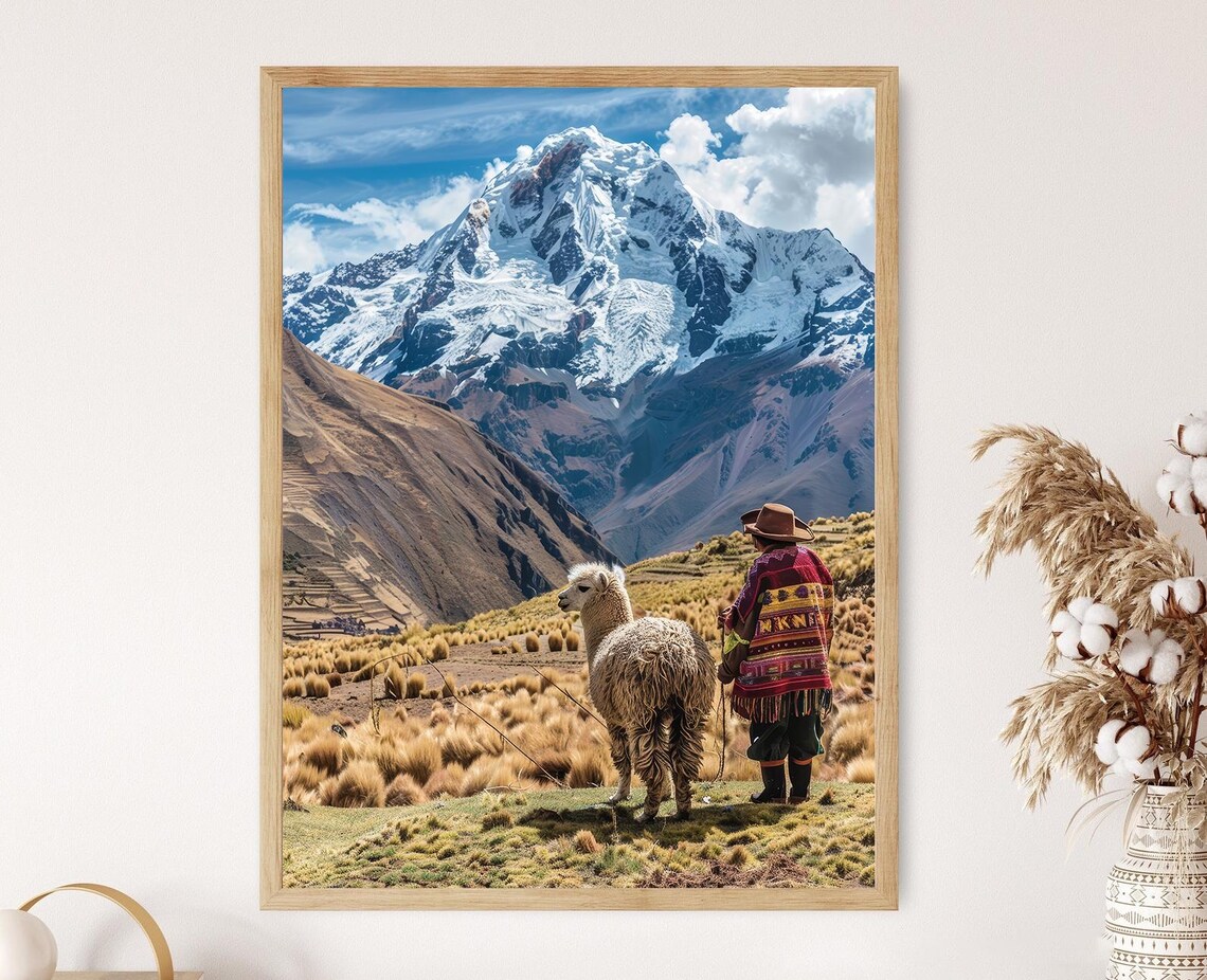 Andean Alpaca Farmer With Alpaca Before Snowy Peak Mountain Poster