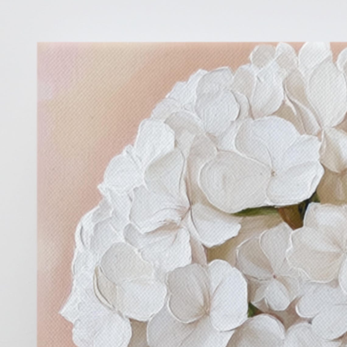 White Hydrangea Full Flower Head Blush Botanical Floral Art Poster - Image 3