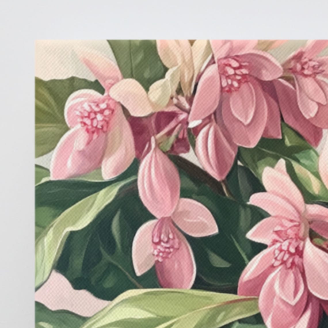 Pink Medinilla Tropical Flowers Dark Leaves Botanical Art Poster - Image 3