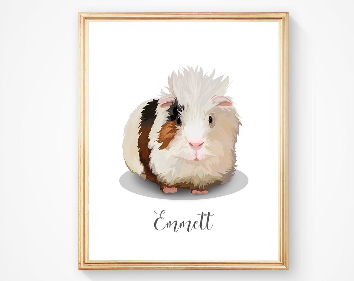 Emmett the Fluffy Guinea Pig Custom Vector Pet Portrait Poster
