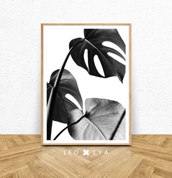 Botanical Print Moanstera Leaf Print Tropical Print Monstera Plant Print Tropical Leaf Art Monstera Deliciosa Botanical Wall Art