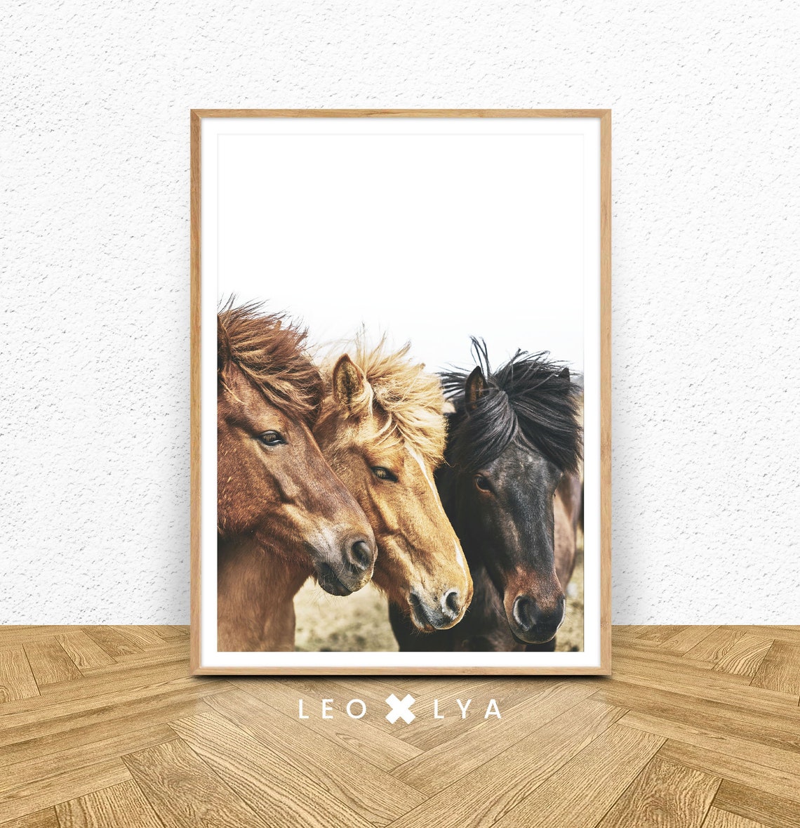 Three Horses Heads Side by Side Equestrian Photography Wall Art