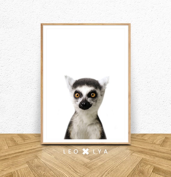 Lemur Catta Print Lemur Wall Art Nursery Animal Decor Jungle Animal Photo Poster Kids Room Prints