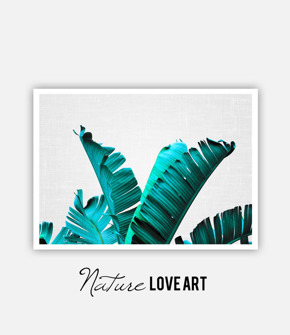 Teal Banana Leaves Tropical Botanical Photography Minimalist Wall Art - Image 2