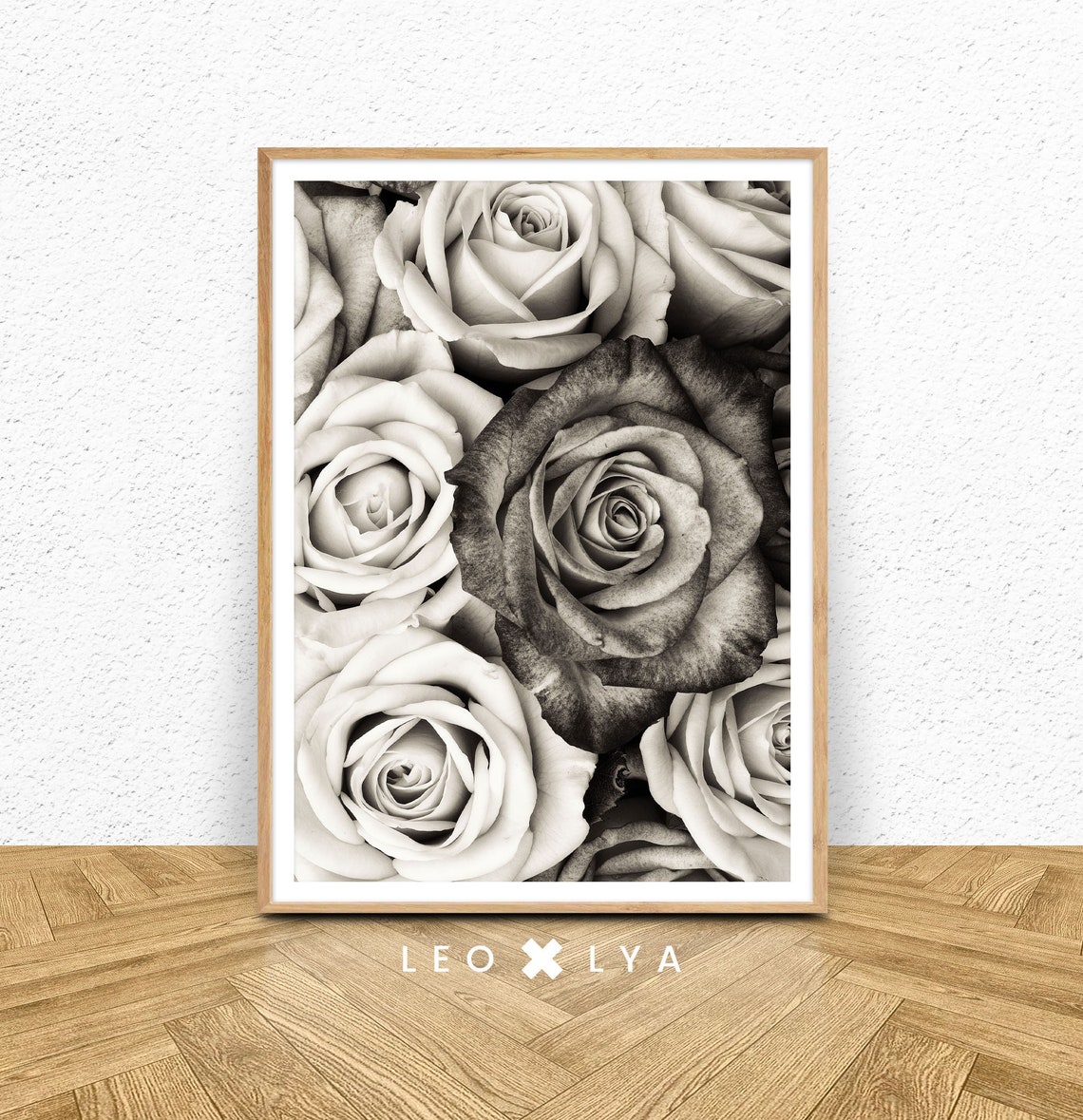 Black and White Roses Close Up Elegant Floral Photography Poster