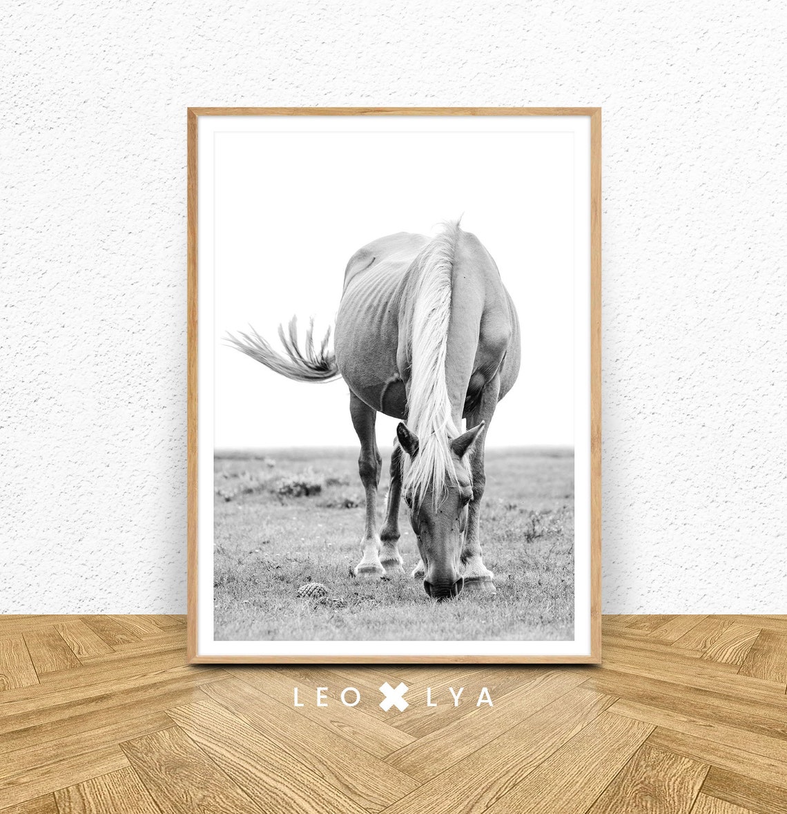White Horse Grazing Black and White Equestrian Photography Wall Art