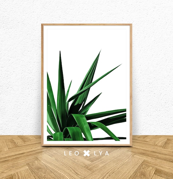 Plant Print Art Green Leaves Print Leaf Print Tropical Leaf Botanical Art Plant Wall Art Tropical Leaf Art Print