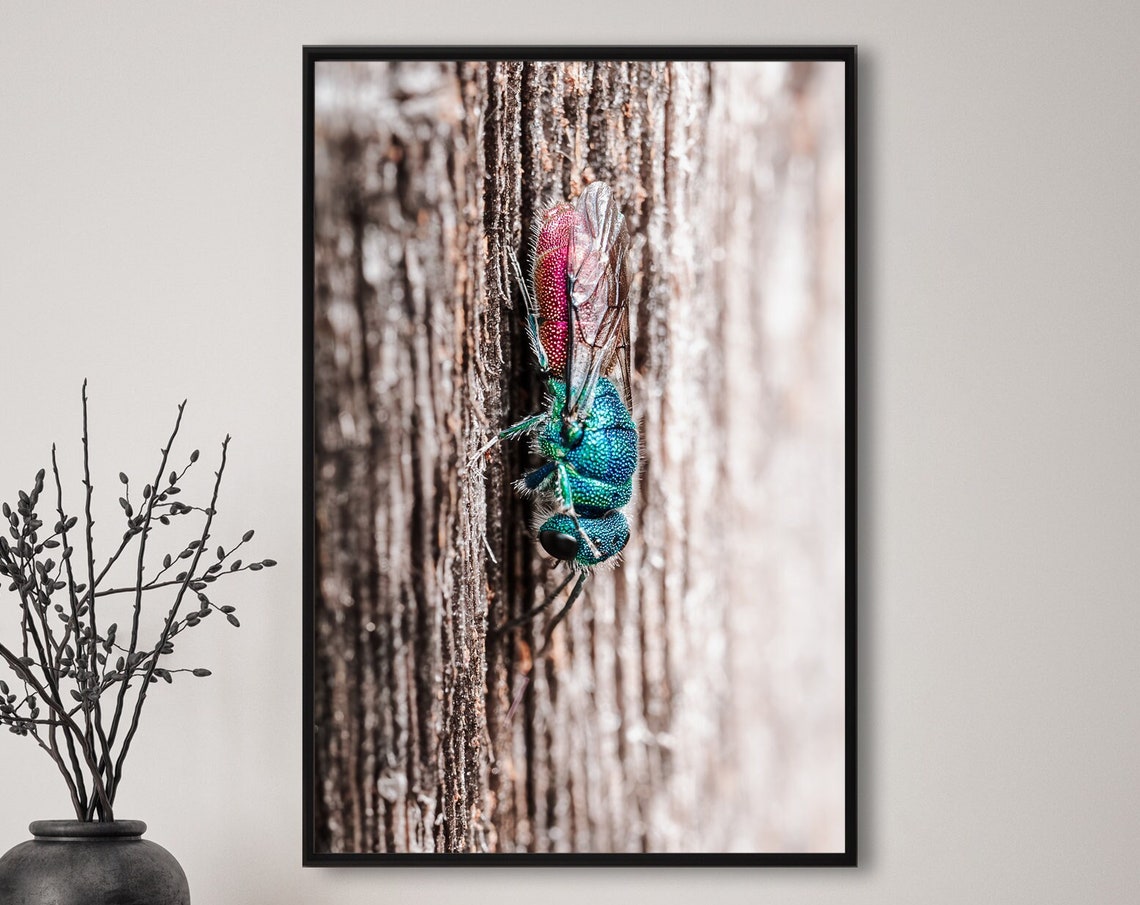 Iridescent Jewel Wasp Crawling on Weathered Wood Macro Nature Poster