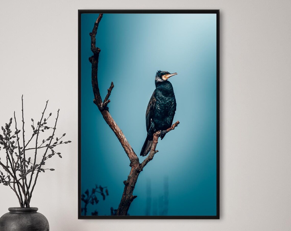 Cormorant Standing on a Bare Branch in Blue Light Photo Poster - Image 2