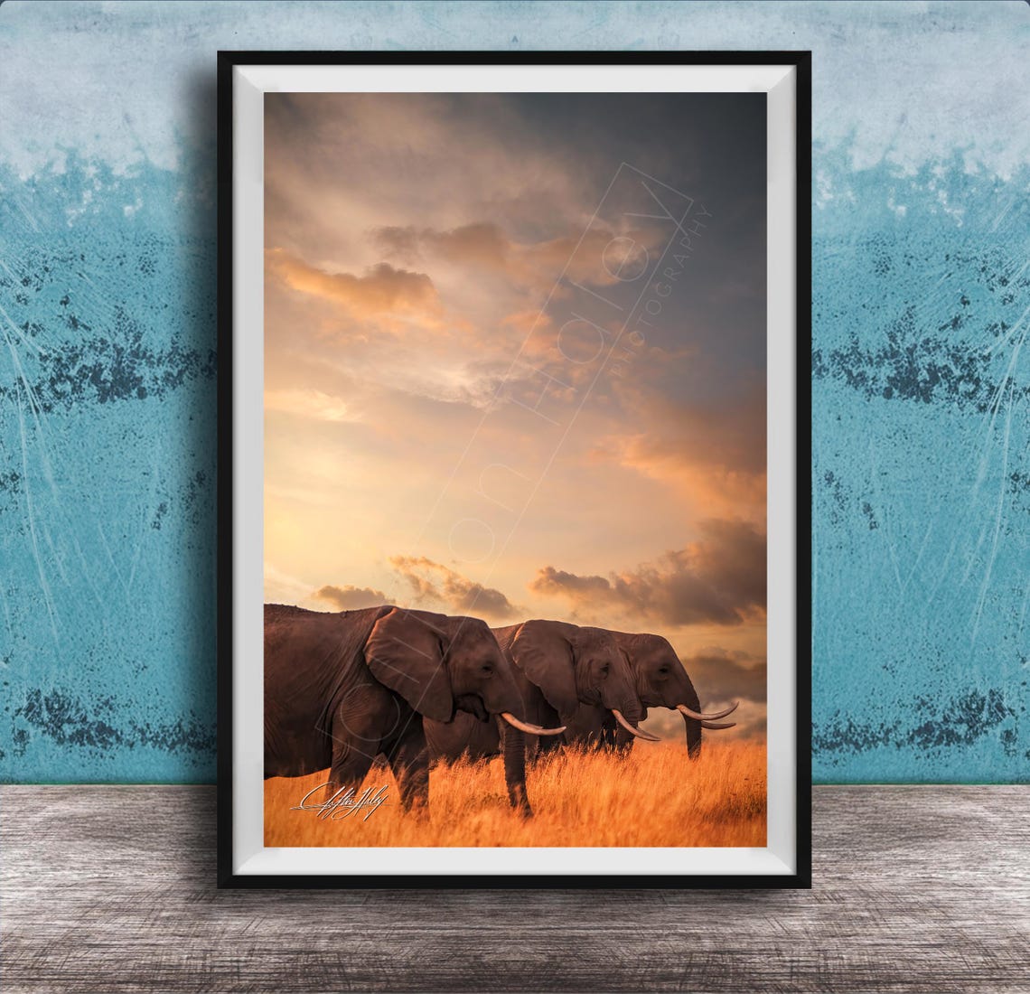Elephant Bulls Golden Field Dramatic Sunset Sky Photo Poster