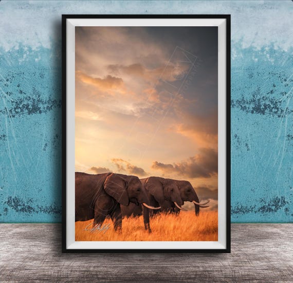 Big Tusker Elephant Print African Safari Scene Male Bulls
