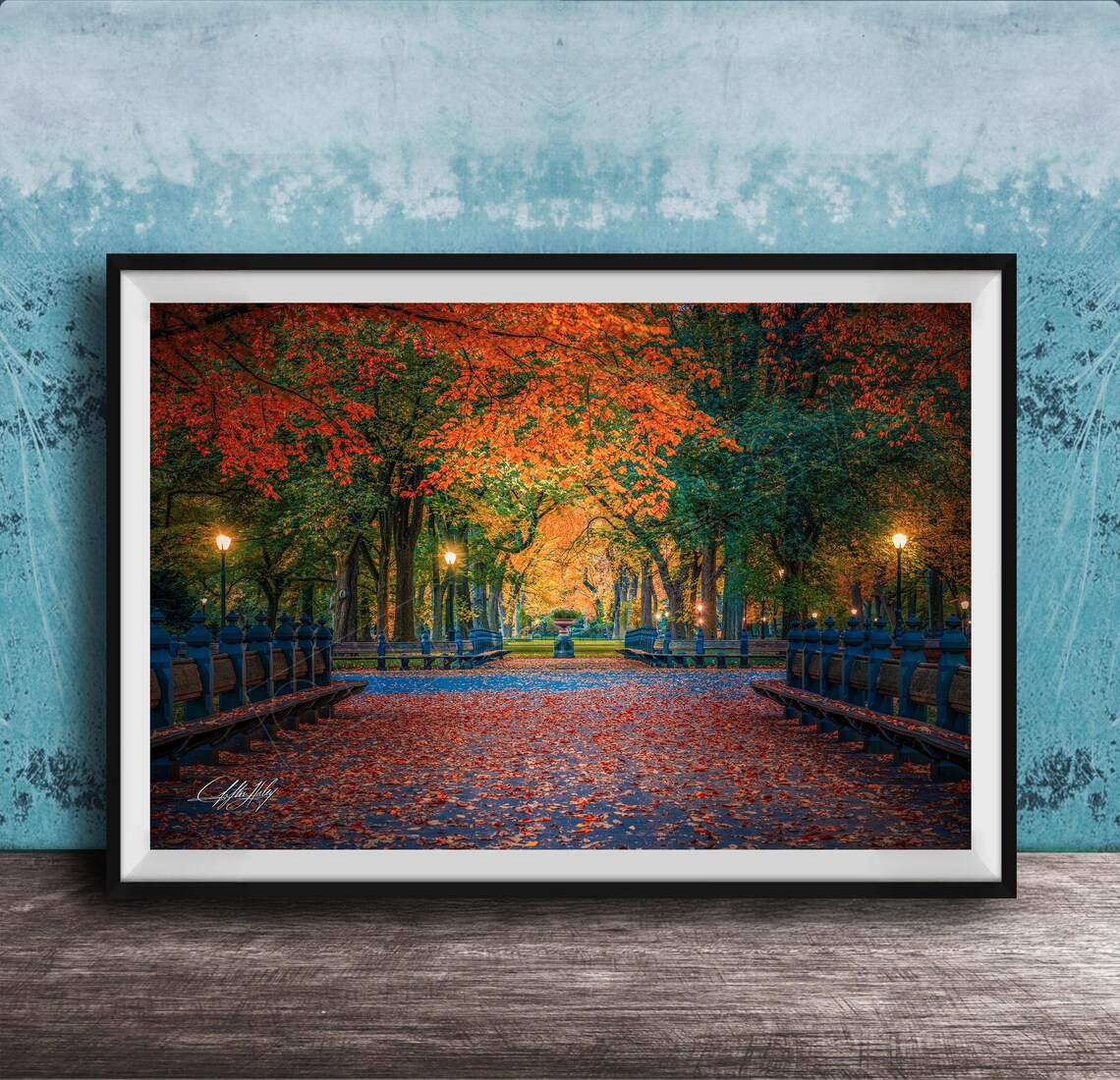 Central Park Autumn Sunrise and Sunset Landscape