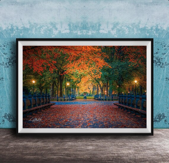 Central Park Autumn Sunrise and Sunset Landscape