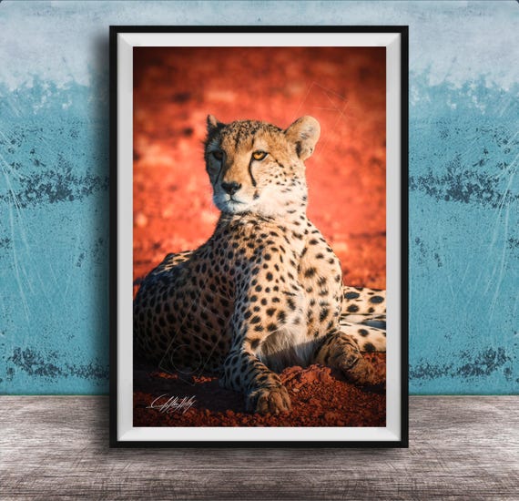 Maximalist Cheetah Art Print Bold Safari Design